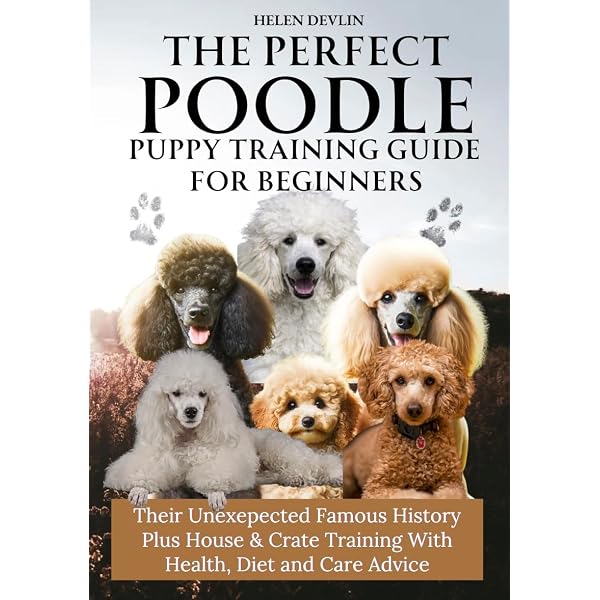 The Poodle Handbook: The Essential Guide to Toy, Miniature and