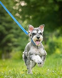 Taglory Dog Leash for Medium Large