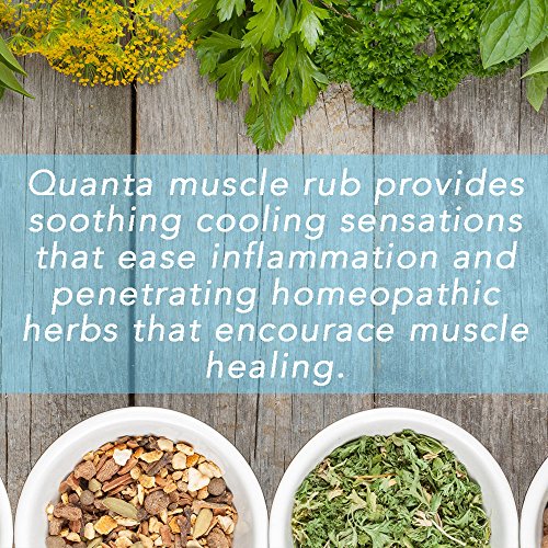 Quanta Organic AllNatural Hemp Muscle Rub Targeted Pain Fighting