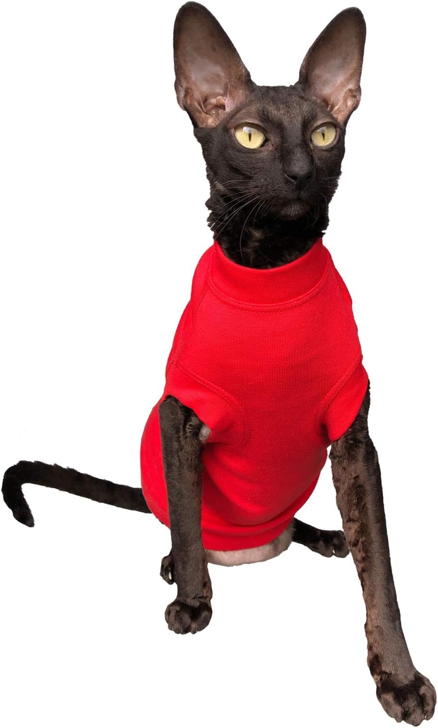 Kotomoda Sphynx Cat’s turtleneck Maxi InRed Naked Cat Hairless Cat