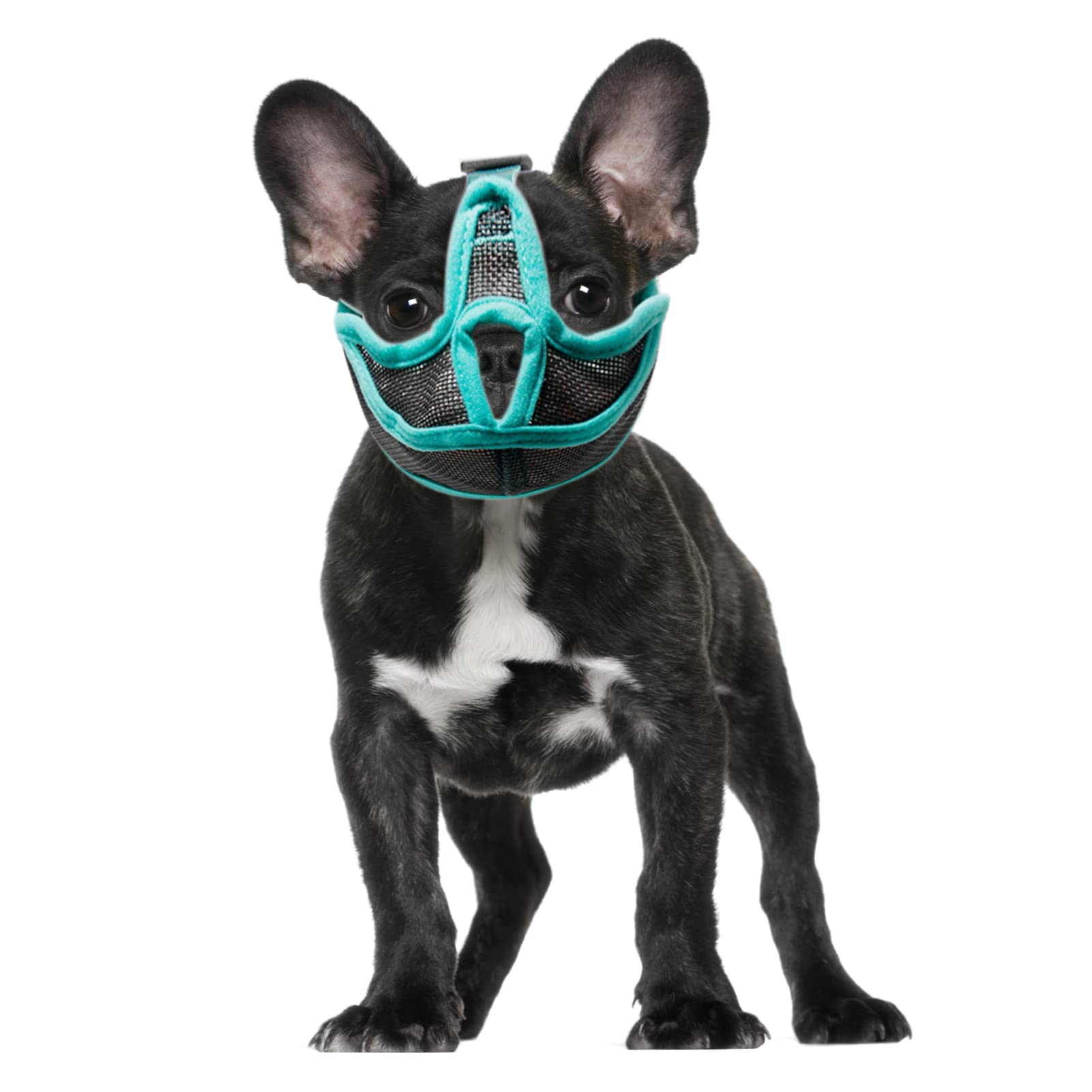Short Snout Dog Muzzle - Breathable Mesh for French Bulldog, Shih Tzu & Pug (S)
