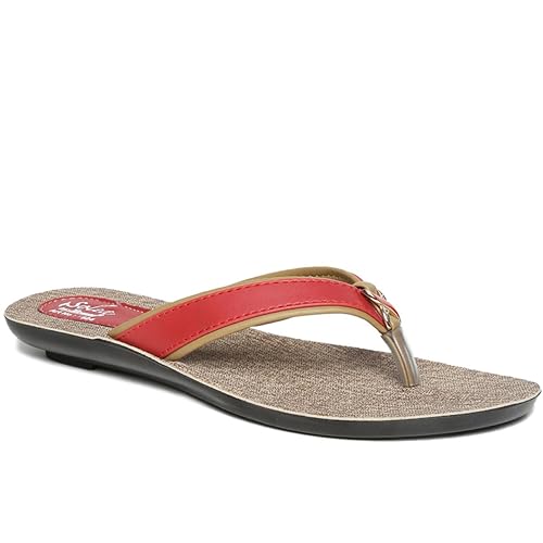 paragon solea online