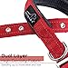 PETBABAB Padded Dog Collar with Metal Buckle, Soft to Protect Neck, Reflective at Safe Night Walk, Rugged to Last Long in Walking Training Pet in Red