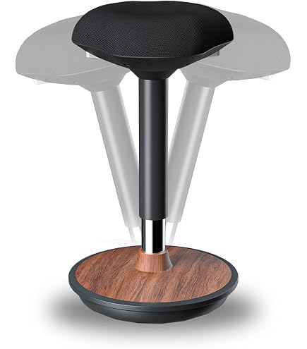 Amazon.com: aeris Swopper New Edition Ergonomic Stool with castors