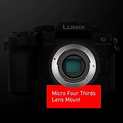 Panasonic LUMIX G95D 20.3 Megapixel Mirrorless