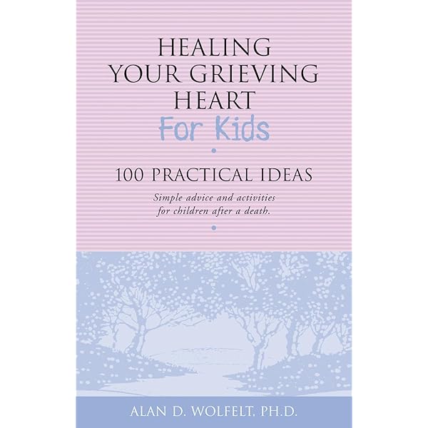 Chan Insights and Oversights: Faure, Bernard: 9780691029023