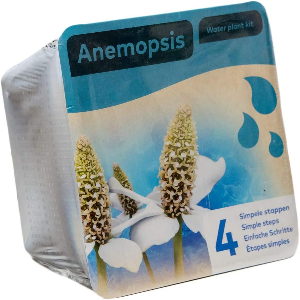 Complete Waterplants Pond Plant Kit - Anemopsis