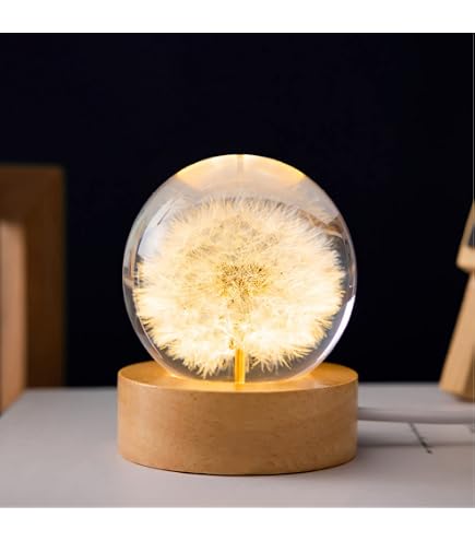 Rustic \"accept What Is. Let Go Of What Was. Have Faith In What Will Be\" Wood Sign Family Religious Dandelion God