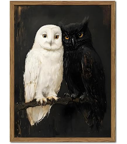 Amazon.com: Derstine - The Owl and the Pussycat 26x26 Framed Art