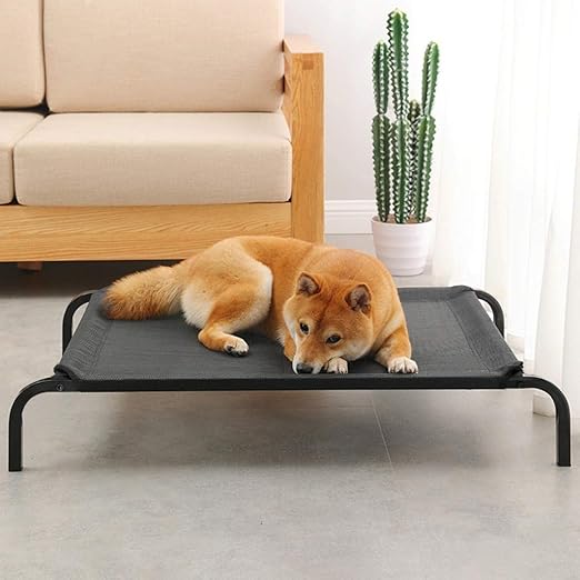 iron dog bed