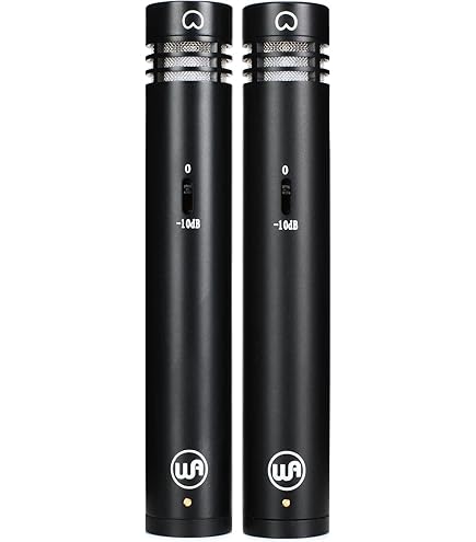 Amazon.com: AUDIX SCX25A-PS Large-Diaphragm Condenser Piano