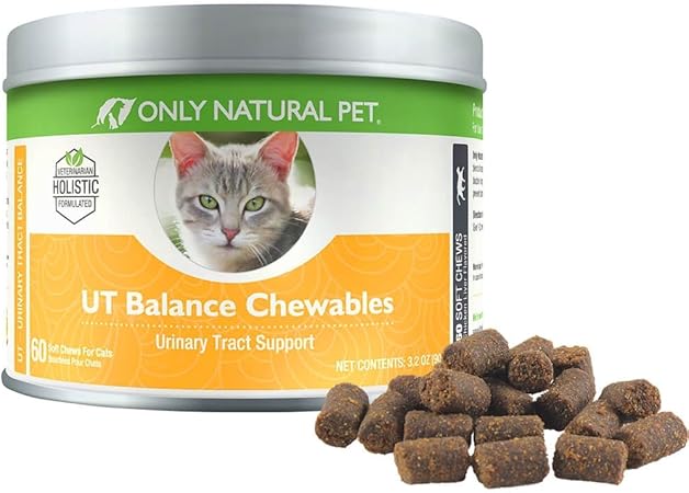 only natural pet cat