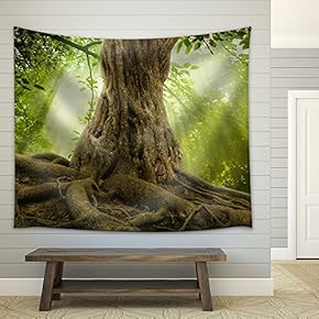 Big Tree Roots and Sunshine in a Green Forest - Fabric Wall Tapestry Home Decor - 51x60 inches