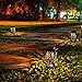 OxyLED Solar Path Lights, LED Garden Pathway Lights Solar Powered, Auto On/Off Decorative Landscape Lighting Security Light for Yard Patio Lawn Backyard Driveway Halloween Christmas (8-Pack)