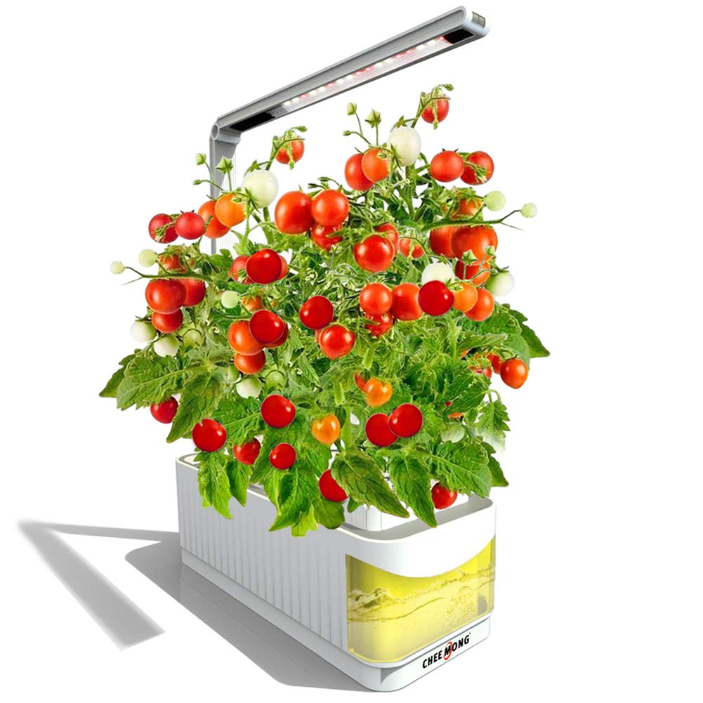 Indoor Hydroponic Gardening Tomatoes Fasci Garden