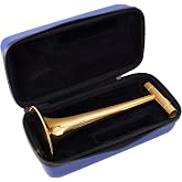 Kazoo Master USA professional metal Kazoo with case gold color