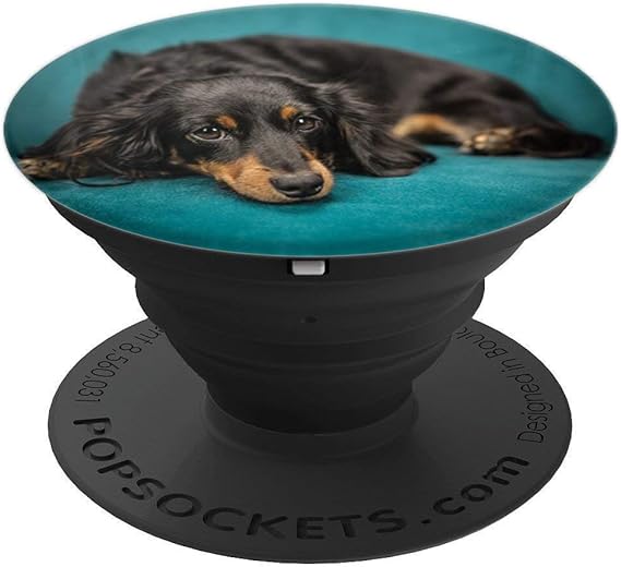 Amazon Com Cute Long Hair Dachshund Puppy Dog Print Popsockets