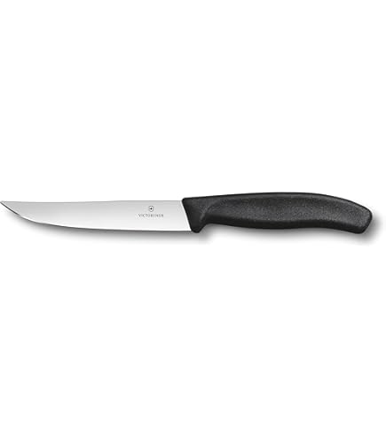 Amazon.com: Victorinox Swiss Classic Steak Knife, 4.3 inches