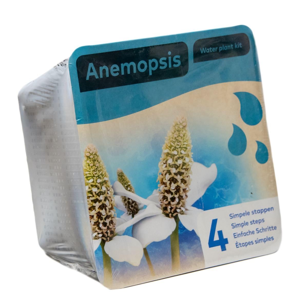 Complete Waterplants Pond Plant Kit - Anemopsis