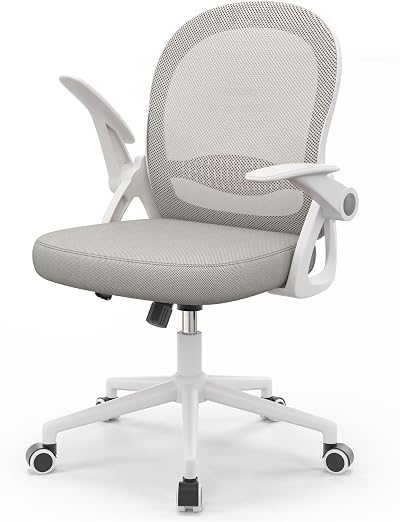 nasPaluro Ergonomic Mesh Office Chair Gray with Flip-Up Armrests Lumbar Support
