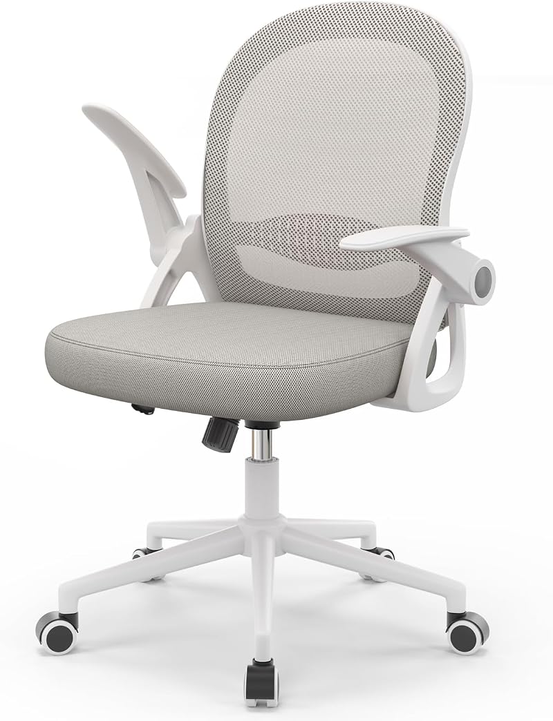 nasPaluro Ergonomic Mesh Office Chair Gray with Flip-Up Armrests Lumbar Support