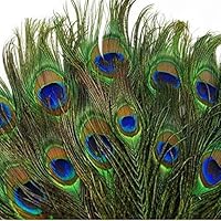 SHUO 10-12"(25-30cm) 50pcs Natural Peacock Feather Eyes Screen Green DIY Craft Holiday Wedding Decorations