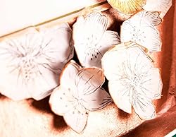 Tsukineko Delicata White Shimmer Metallic Pigment