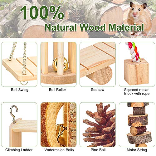 3 Hamster+Chinchilla+Accessories+Dumbbells+Exercise