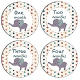 Baby Monthly Stickers! Milestone Markers, Stepping Stones, Peel and Stick, Boy and Girl. Good For: Capturing your baby's memorable moments one month at a time.