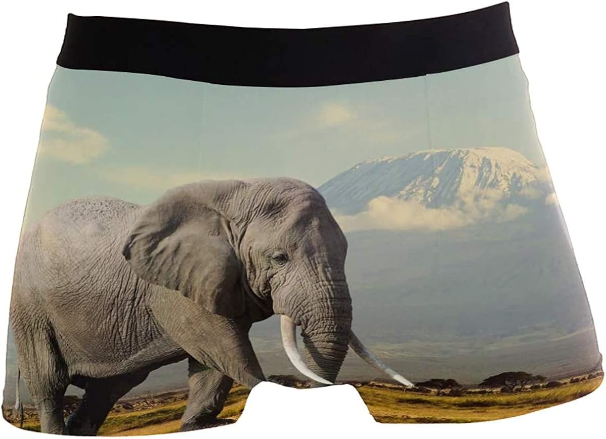 Walking Elephant Mens Boxer Briefs Underwear Breathable Stretch Boxer