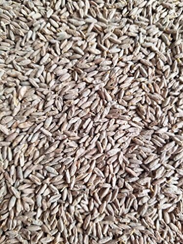 Haus Malts Malted Rye 5lb Bag