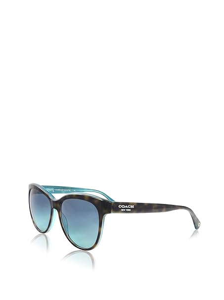 coach sunglasses hc8055