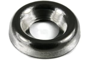 RAW PRODUCTS CORP Finishing Cup Washer 410 Stainless Steel - #10 Qty-250