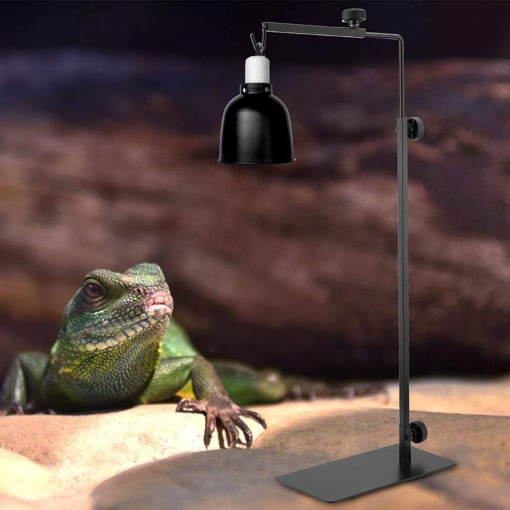 turtle floor lamp