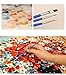 Morgofun DIY Paint by Number Kits for Adults, Paint by Numbers Canvas Brush - Beautiful Peony 16x20inch