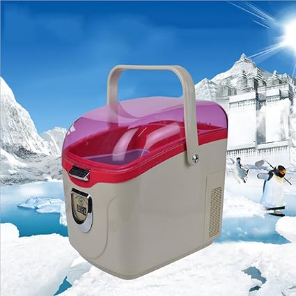 Amazon.es: Nevera Portátil, Refrigerador del coche 5L, 12V ...