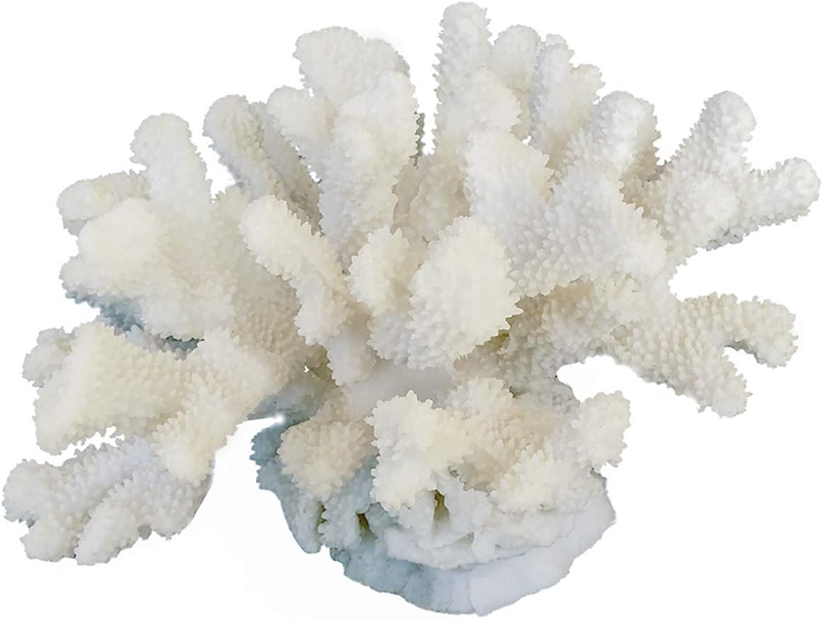 HENGYUTOYMASK Decorative Coral Sculpture,10.25 Inch, Resin Coral Figurine Centralpiece Tabletop Ornament Aquarium D&eacute;cor White
