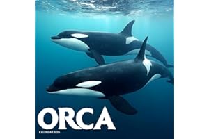 Orca 2026 Calendar: Killer Whales and Ocean Majesty