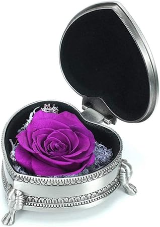 Stella Di Natale Appassita.Reawul Fatto A Mano Fiore Conservato Rosa Rose Mai Appassite Rosa Eterna Per Gli Innamorati Regalo Per La Festa Della Mamma San Valentino Vigilia Di Natale Anniversario Natale Regalo Di Festa Amazon It