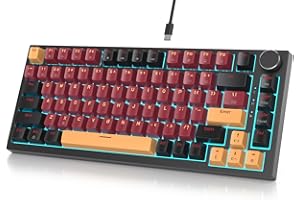 Fogruaden Wired 75% Percent Hot Swappable Mechanical Keyboard, Red Switch, TKL Mechanical Keyboard, Gasket Mount, RGB Backlit