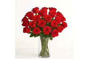 BloomsyBox - Red Roses - 24 Long Stems, Long Lasting, Hand-Tied in Eco-friendly, Vase Not Included, Fresh Flowers for Delivery – Gift for Birthday, Anniversary, Get Well, Congratulations, Wedding
