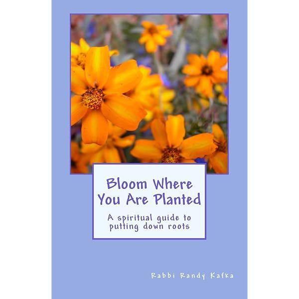 Amazon.com: Bloom Where You are Planted: Transformational Strategies  Empowering You to Grow Through What You Go Through: 9781733150712: Francis,  Ronetta J.: Books