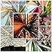 Kate 7x5ft Wood Fence Backdrops for Photography Easter Party Decoration Background Colorful Wooden Texture Backgrounds Baby Girls Boys Portrait Studio Backdrop
