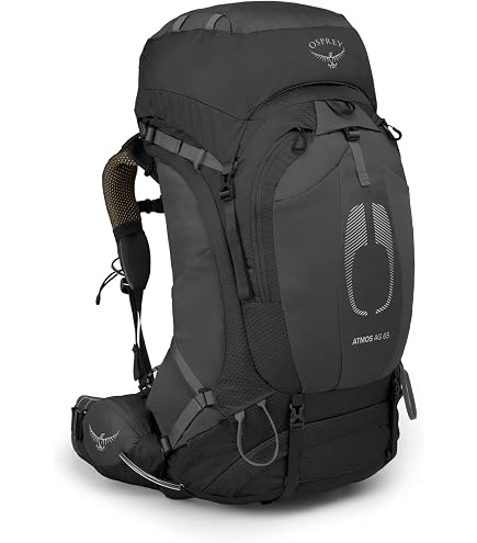 Osprey Aether Plus 85L Men's Backpacking Backpack, Black, S/M : Sports & Outdoors