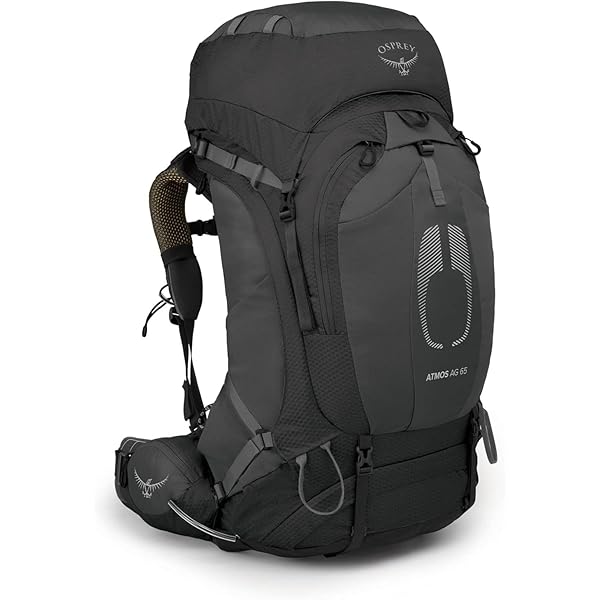 Amazon.com : Osprey Aether 65L Men's Backpacking Backpack, Black