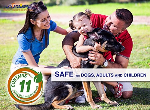 Arava Natural Flea & Tick Prevention for Dogs & Cats - 4-Doses - 100% Safe Flea & Tick Control - Repels Pests with Natural Oils - Safe on Skin and Coats - Enhanced Defense & Prevention (4 Variations)