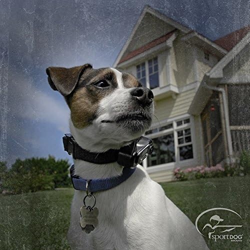 sportdog yard trainer 100