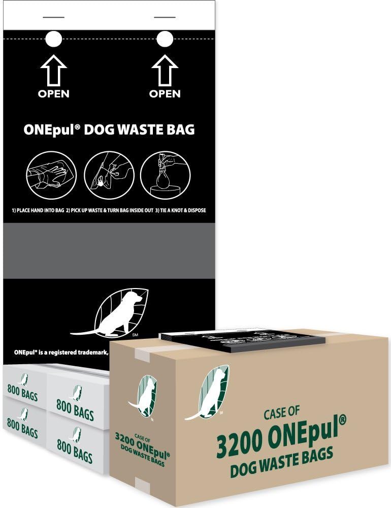 my puppy threw up yellow bile