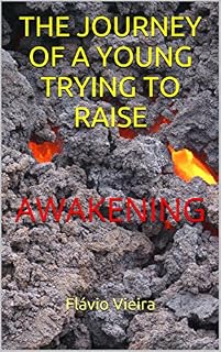 Livro THE JOURNEY OF A YOUNG TRYING TO RAISE: AWAKENING