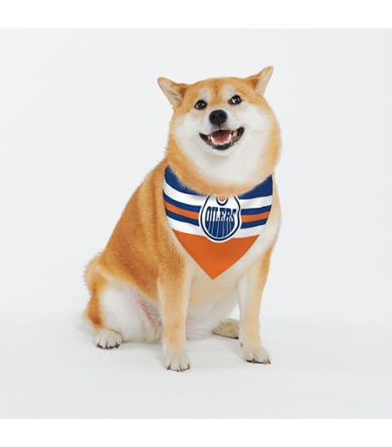 Edmonton Dog Bandana Scarf - Thanksgiving & Birthday Party Pet Accessory For Small Medium Dogs